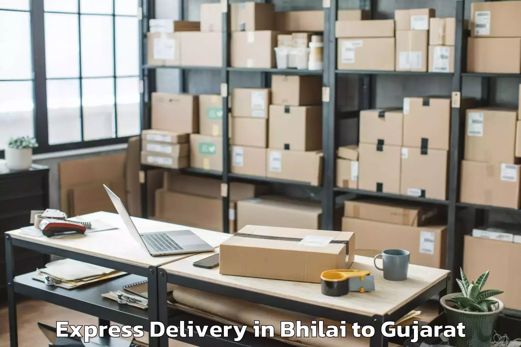 Book Bhilai to Vanthali Express Delivery Online